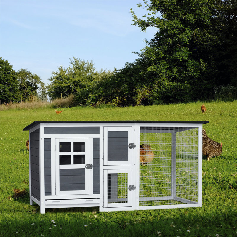 Poulailler 12,88 pi² Delbreco