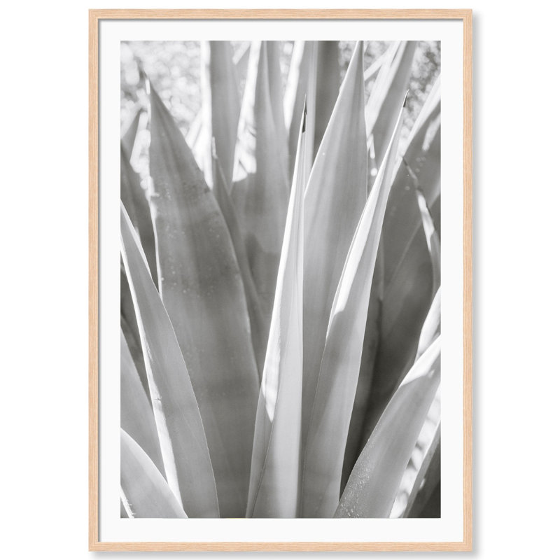 Muted Cactus Print by Carly Tabak, Natural Wood, 31" W x 44" H