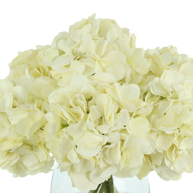 Hydrangeas in Glass Vase, White