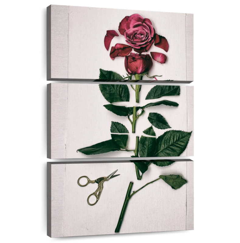 Rose Harnek, H 32 po x l 20 po