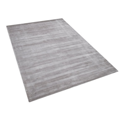 Mathis Rectangle Viscose Hand Woven Area Rug