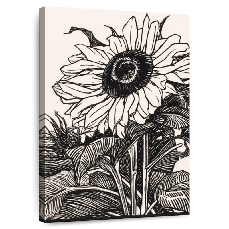 Harnek tournesol 1919, H 36 po x l 24 po