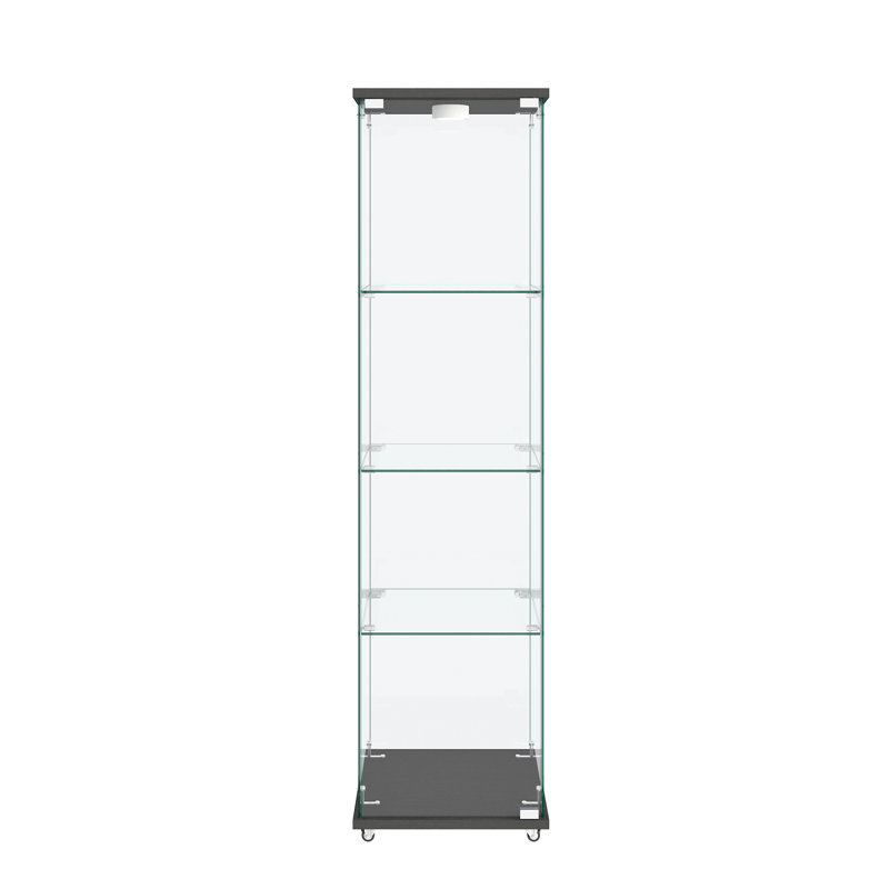 Modern Glass Display Cabinet With LED Lights, 64.45" H x 16.73" W x 14.37" D, Black