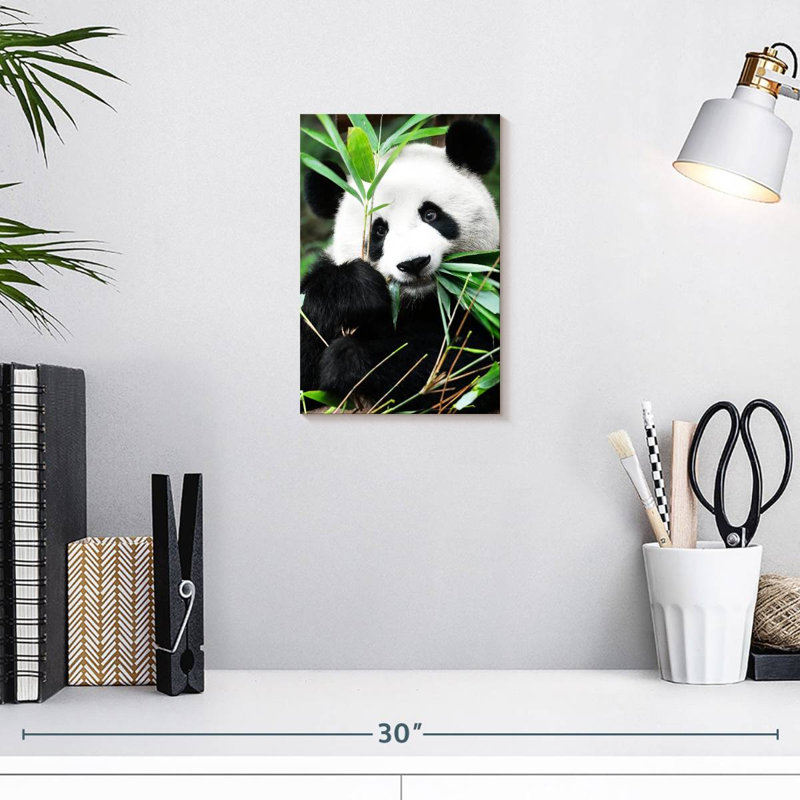 Panda géant Brampt I, H 12 po x l 8 po