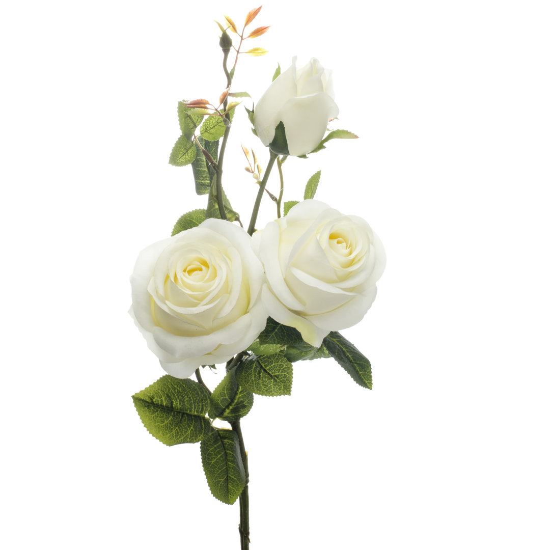 Silk Rose Arrangement (Set of 12) Charlton Home® Flowers/Leaves 
