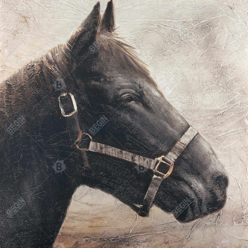 «Gallopin le cheval brun»