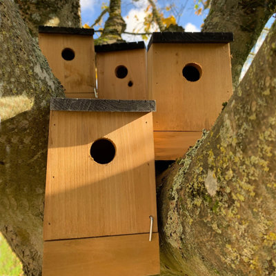 Traditional Wooden Mounted Bird House with Removable Bases