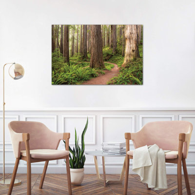 Redwood Trail by Stefan Hefele - Wrapped Canvas Print