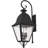 13.5in 4 Light Outdoor Wall Lantern Pendant with Seeded Glass Shade --101231140