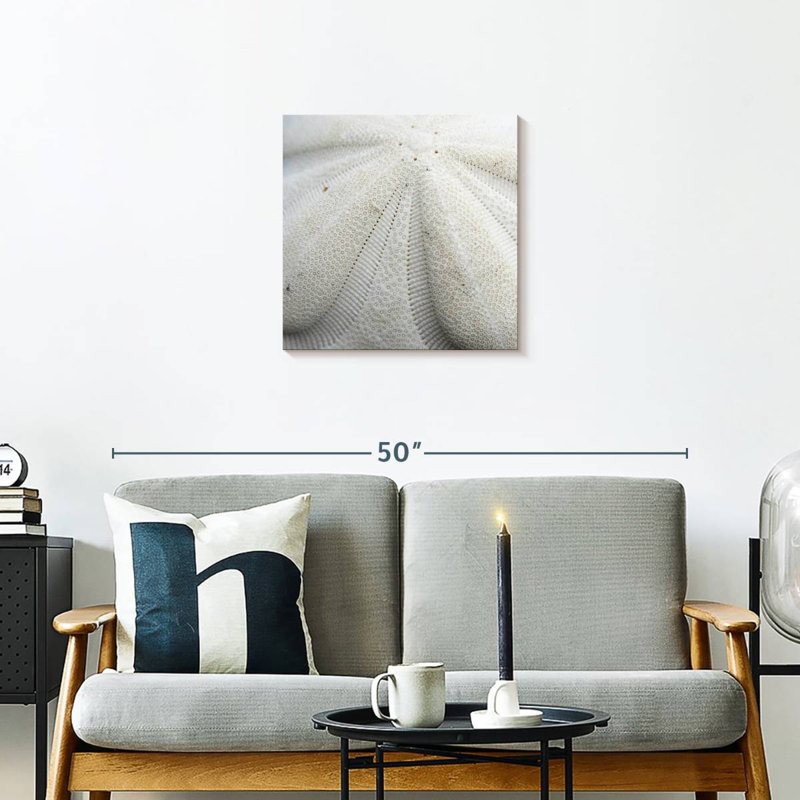 Crowle Textured Sand Dollar, 20" H x 20" W
