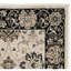 Petronella Viscose Oriental Rug in Ivory/Black-19261716