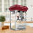 Commercial Popcorn Machine