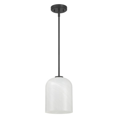 Single Light Glass Pendant