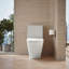 Toilette ronde une pièce écoénergétique Brazn 1,28 GPF (siège inclus)-98305146