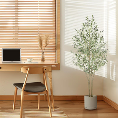 80cm Tree
