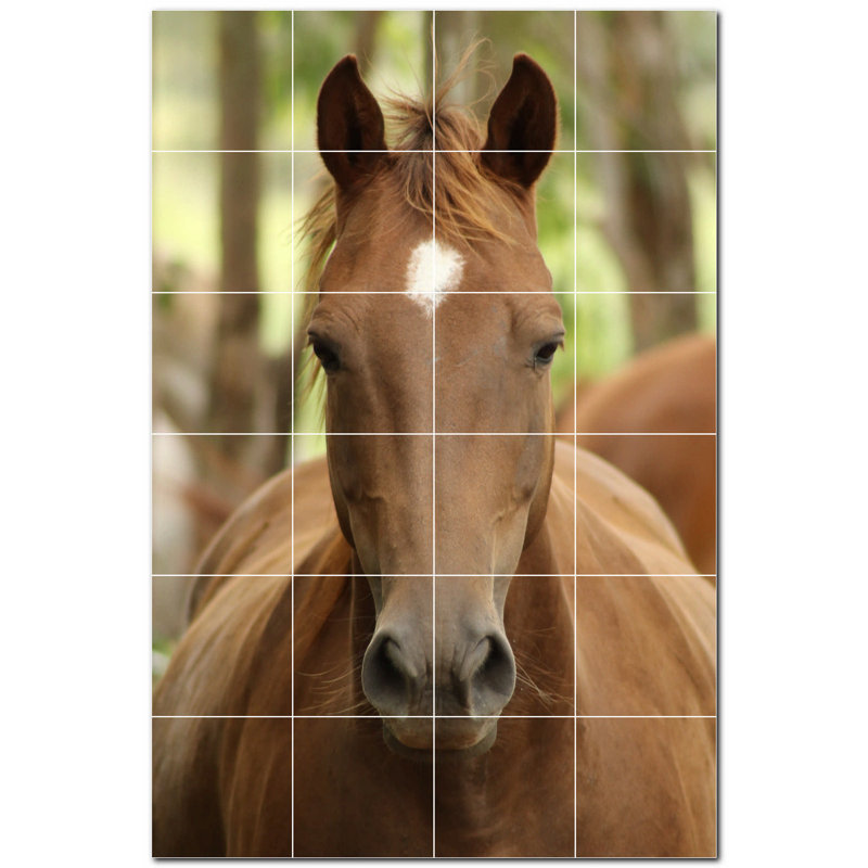 Murale en céramique satinée Horse Photo 6 po x 6 po