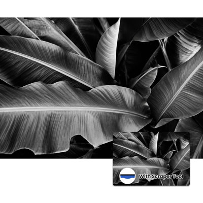 Papier peint adhésif auto-adhésif moderne pour la chambre à coucher à motif de feuilles de bananier tropical L 100 po x l 144 po Peel and Stick