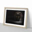 Black Cat with Yellow Eyes - Picture Frame Art Print on MDF-55512488-55512489