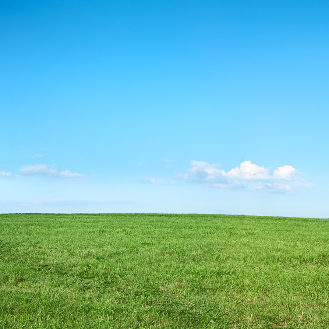 Quadratische Frühlingslandschaft von Hadynyah - Ohne Rahmen auf Leinwand