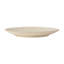 Pearl Stoneware Dinner Plate-1812909198