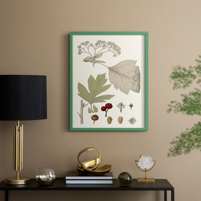 Feuilles et baies II, reproduction encadrée - bois massif