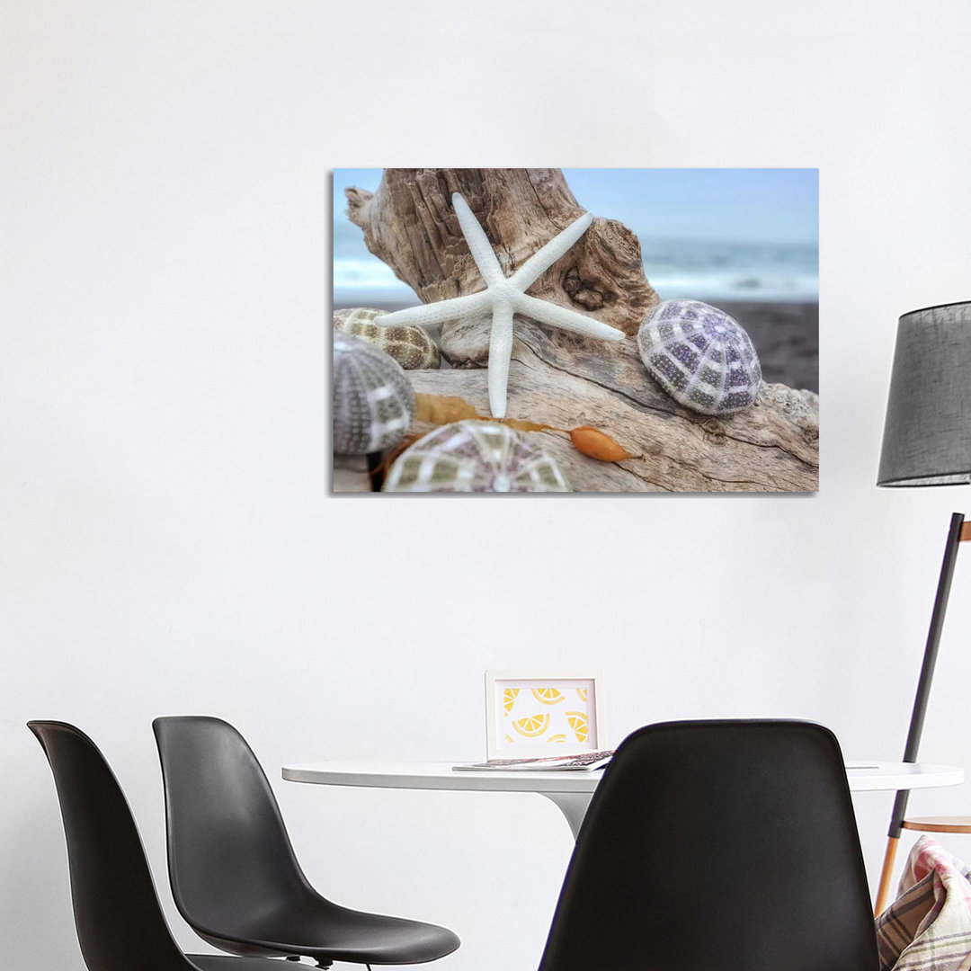 Leinwandbild Crescent Beach Shells VII von Alan Blaustein