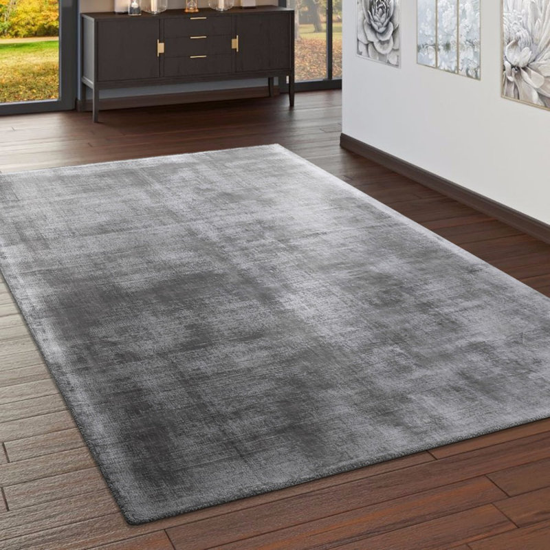 Langan Rectangle Viscose Hand Woven Area Rug, Rectangular 200 x 300cm