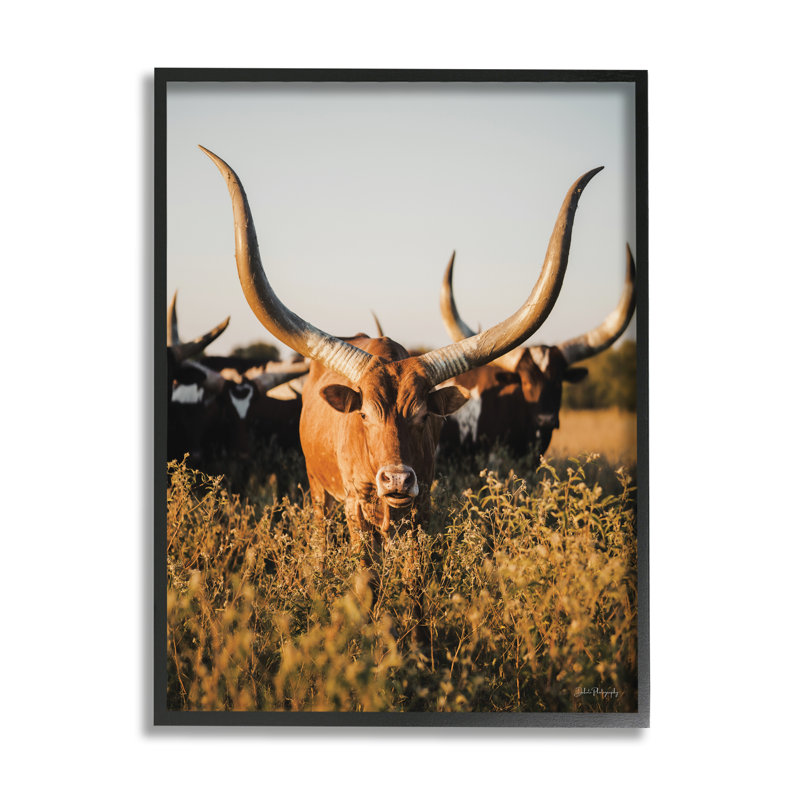 ba-417, reproduction encadrée d'un longhorn par Dakota Diener, Giclée encadrée noir minuit, H 20 po x l 16 po x P 1,5 po