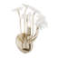 Applique murale 1 lumière Wildflower-86879163