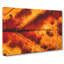 Leaf In The Autumn - Wrapped Canvas-56633210