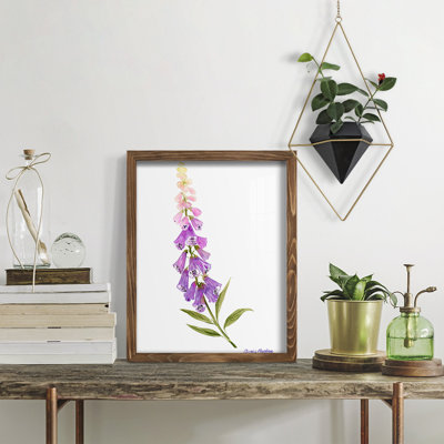 Annie's Foxglove II