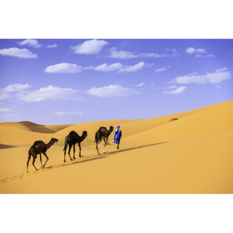 Jeune touareg avec chameau par Hadynyah, H 32 po x l 48 po
