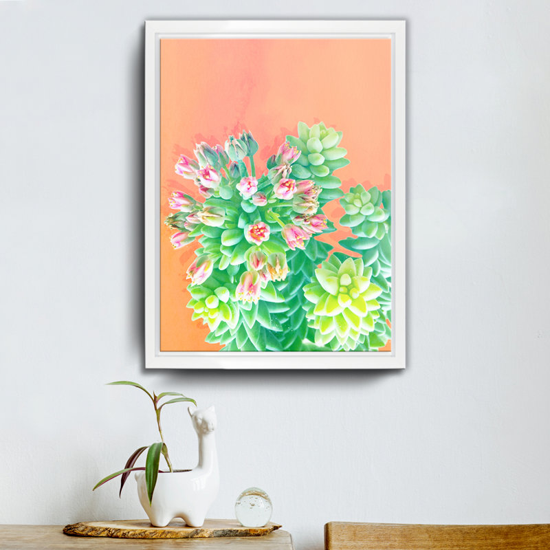 « fraîche growth », impression sur toile succulent, H 40 po x l 30 po x P 1,5 po, Cadre blanc