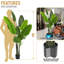 Artificial Olive Tree for Home Decor-112882159