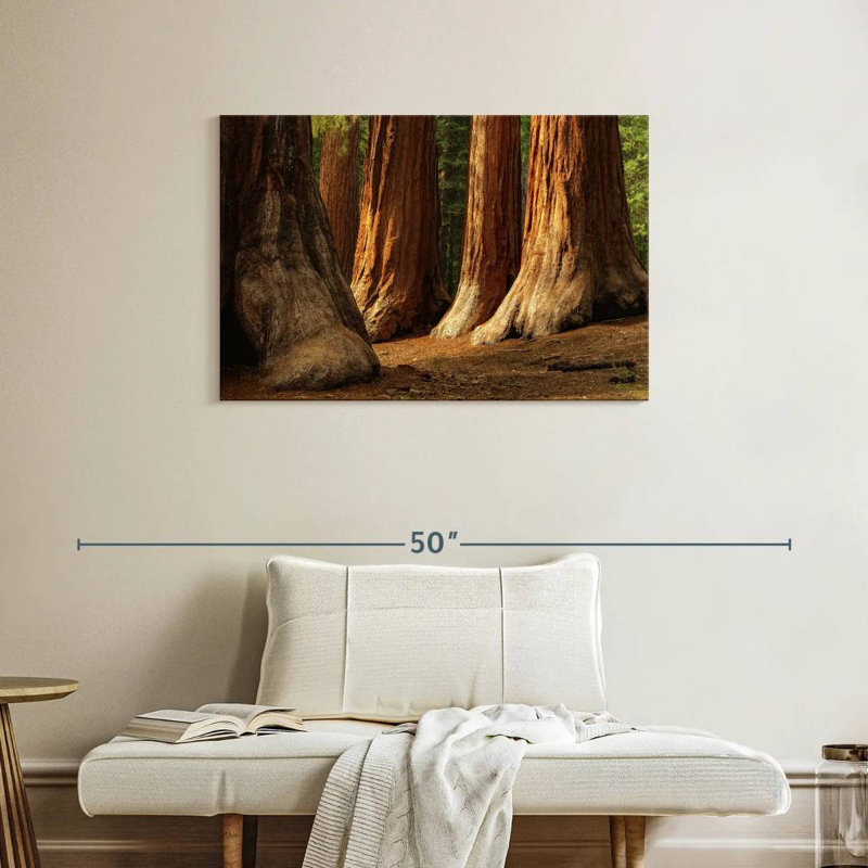 Harnek Ancient Sequoia Trees, 24" H x 36" W