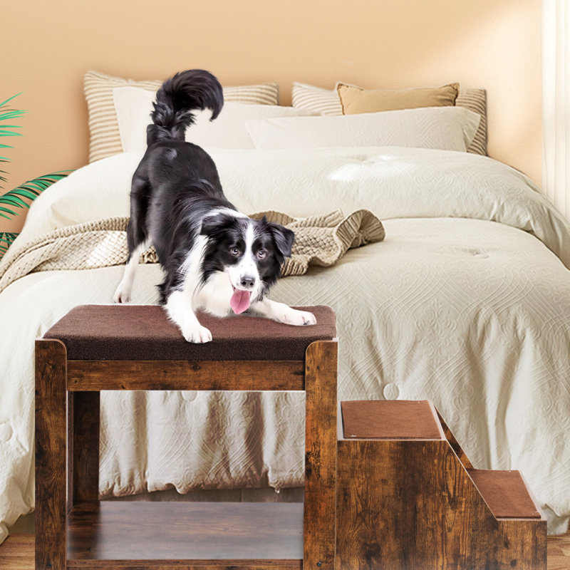 Lit superposé à plusieurs niveaux pour animaux de compagnie pour chiens et chats, coussin de marche amovible, lit plateforme robuste avec siège pour fenêtre, animaux de compagnie, avec coussin à gratter, perchoir