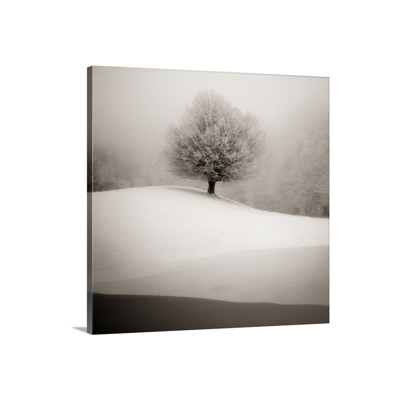 "winter degraded" , impression sur toile, H 16 po x l 16 po