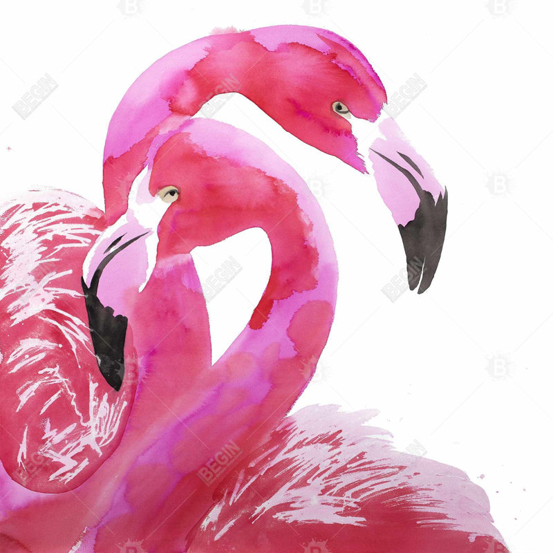 «Watercolor Flamingo Love» sur toile