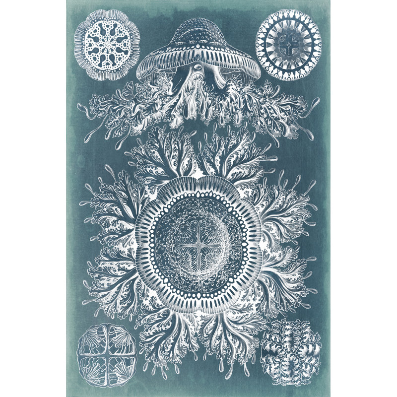 Sealife Blueprint I - Wrapped Canvas Painting, 46cm H x 30cm W x 3.8cm D