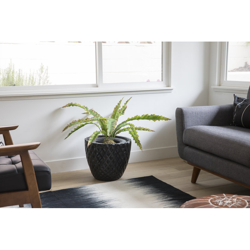 Plante grasse artificielle Bragdon en pot