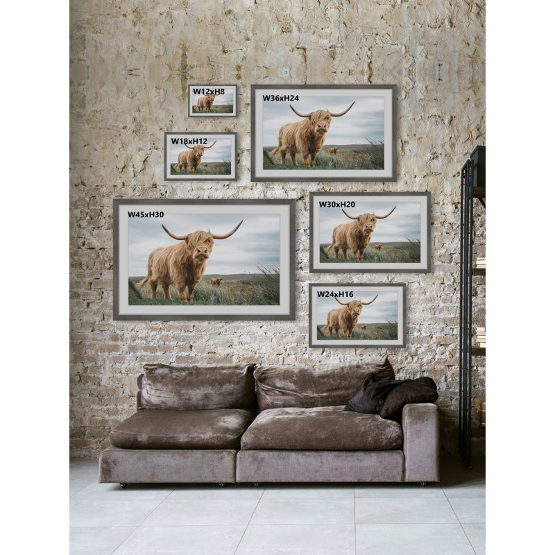 " Grazing Cattles " by Marmont Hill, Paper, White, 12" W x 8" H