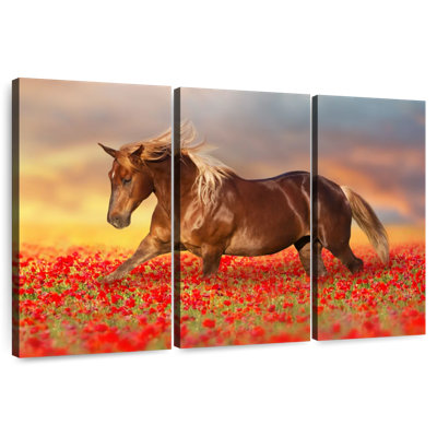 Cheval dans un champ de coquelicots