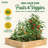 Katsuyoshi Wood Raised Garden Bed-689863013-689863015
