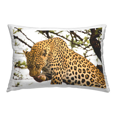 Coussin décoratif imprimé Leopard After lunch par Max Blakesberg Studios