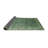 Oriental Indoor Rug-490043280