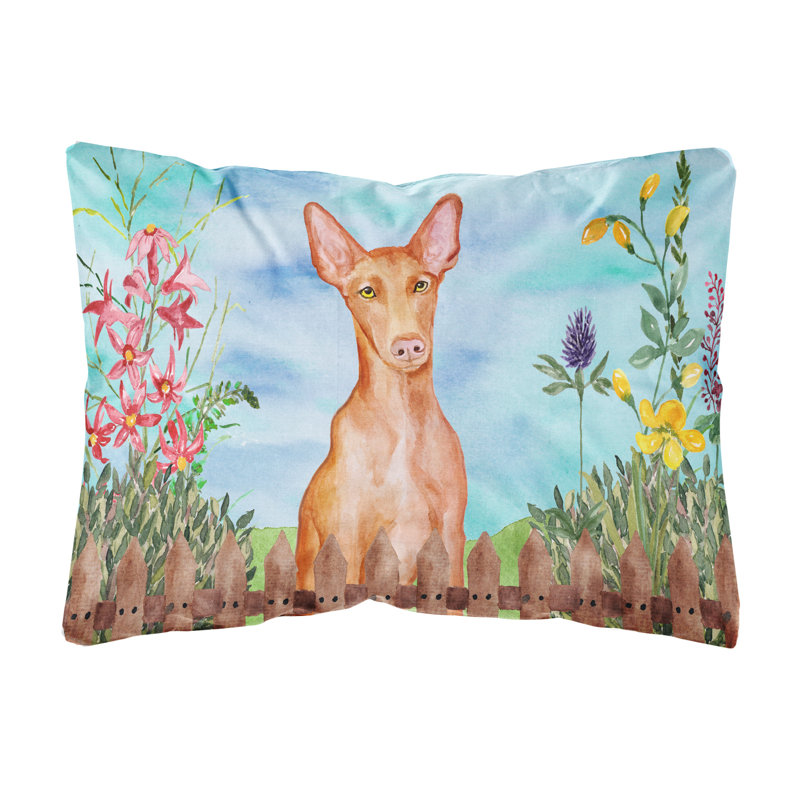  Coussin intérieur / extérieur Pharaoh Hound Spring