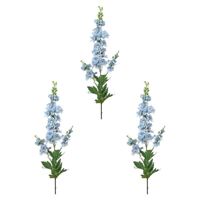 35 "Soft Touch Garden Delphinium , Bleu