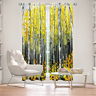 Room Darkening Curtain Pair