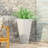 Modern and stylish tapered design planter-1597084965