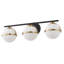 3-lamp matte black adjustable glass Vanity Light